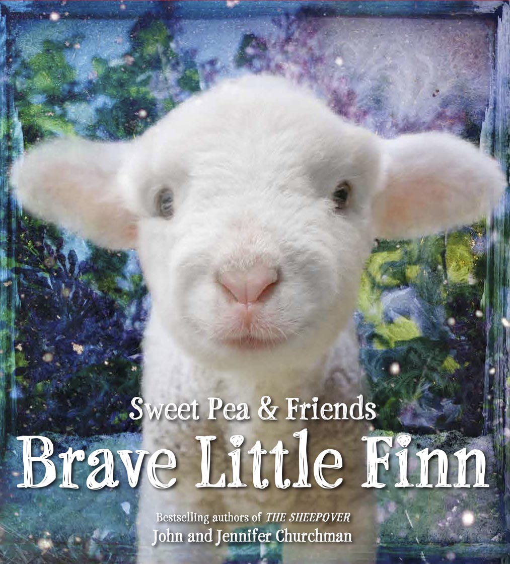 Brave Little Finn Bookcover